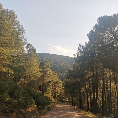 Bonita Casa En El Bosque - El Tiemblo别墅 外观 照片