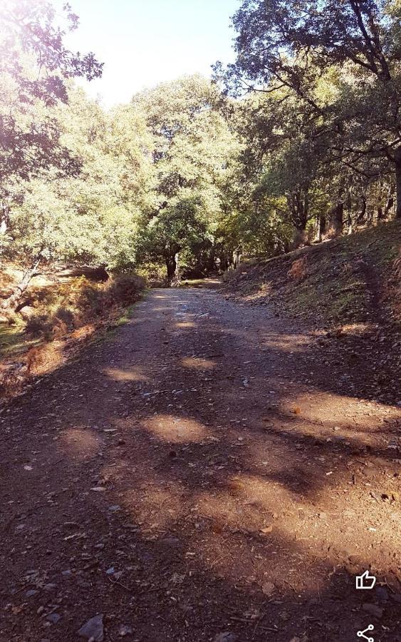 Bonita Casa En El Bosque - El Tiemblo别墅 外观 照片
