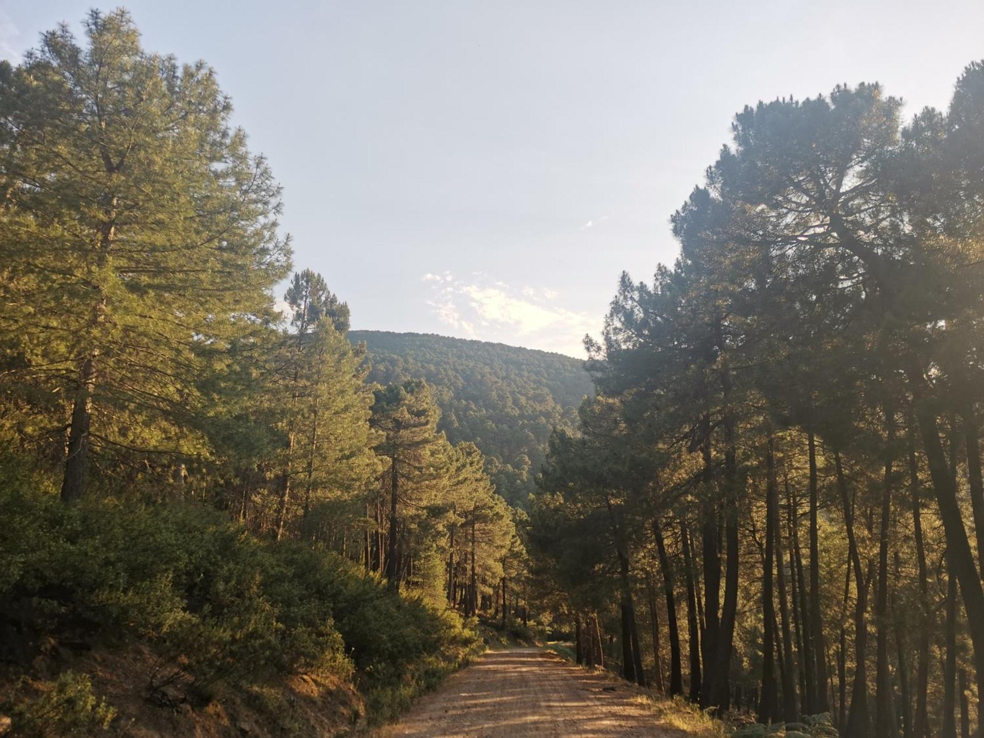 Bonita Casa En El Bosque - El Tiemblo别墅 外观 照片