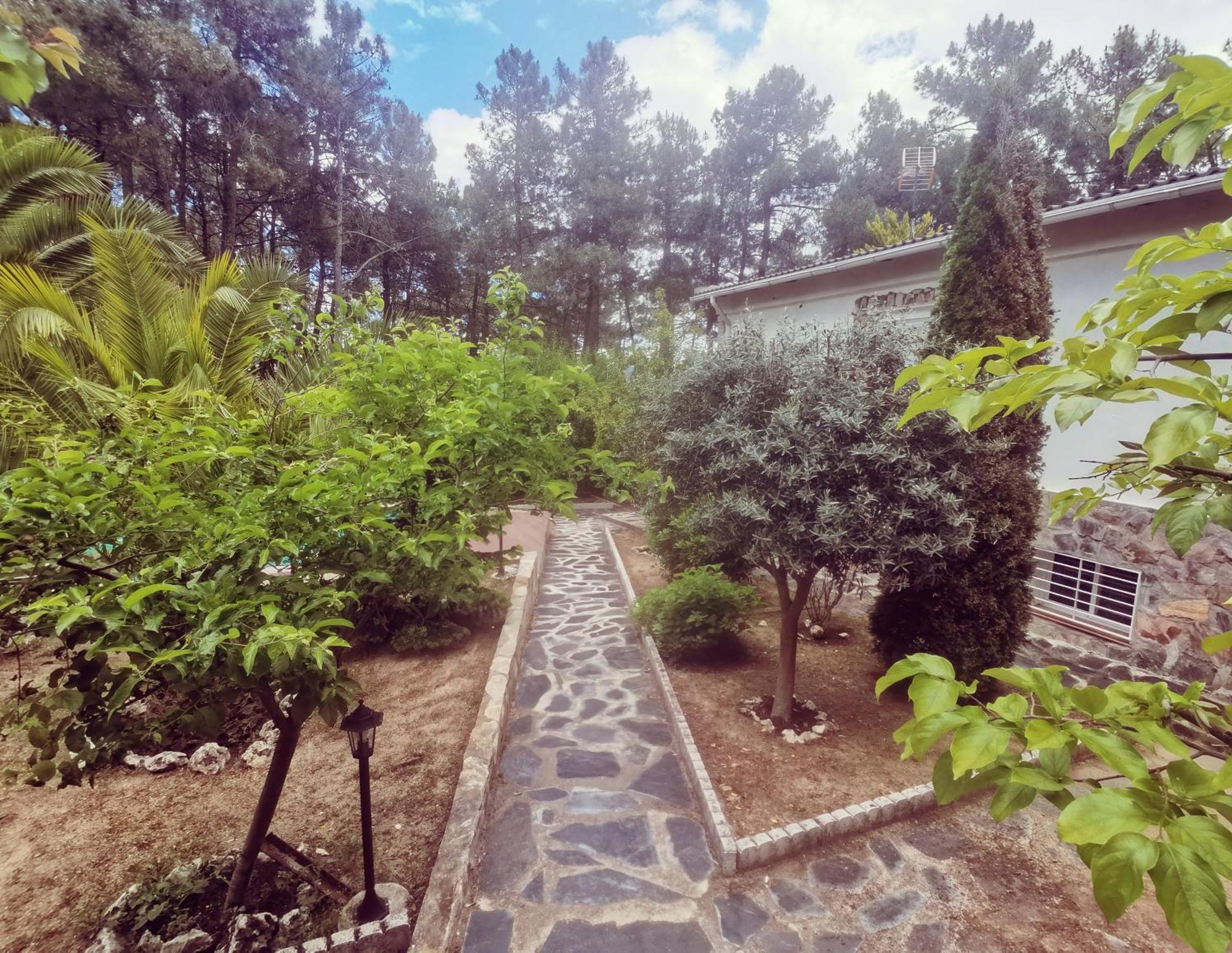 Bonita Casa En El Bosque - El Tiemblo别墅 外观 照片